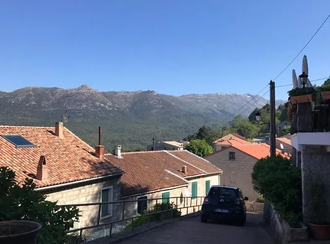 La Terrasse