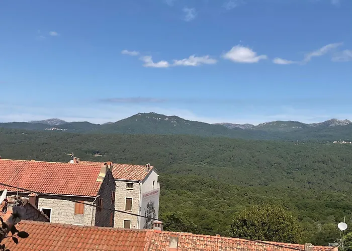 La Terrasse *