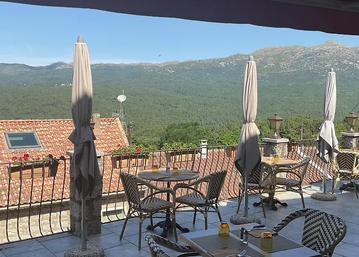 La Terrasse *