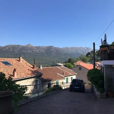 La Terrasse