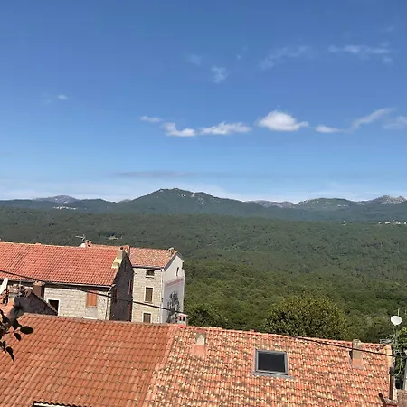 La Terrasse *