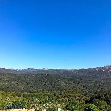 La Terrasse Zonza