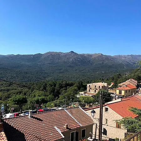 La Terrasse