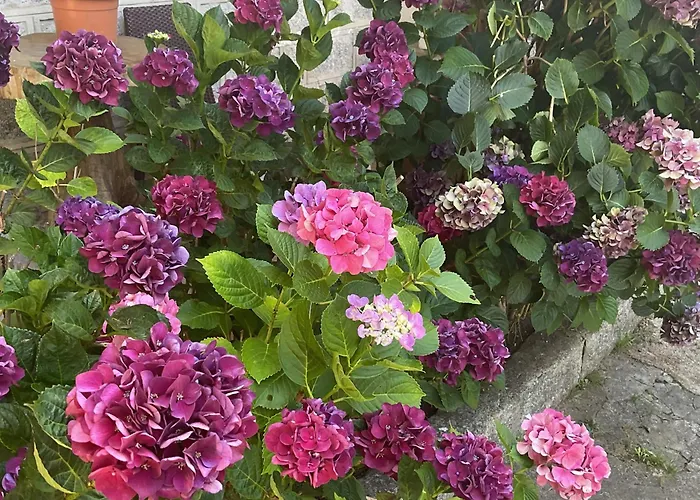 Otel La Terrasse Zonza